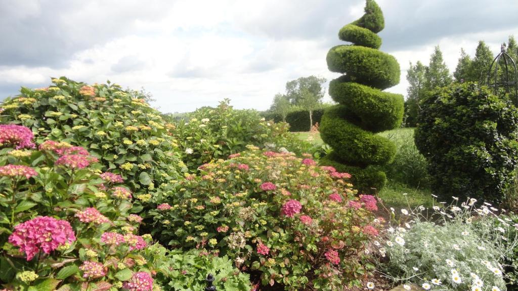 Westwood Country House Blarney Eksteriør billede
