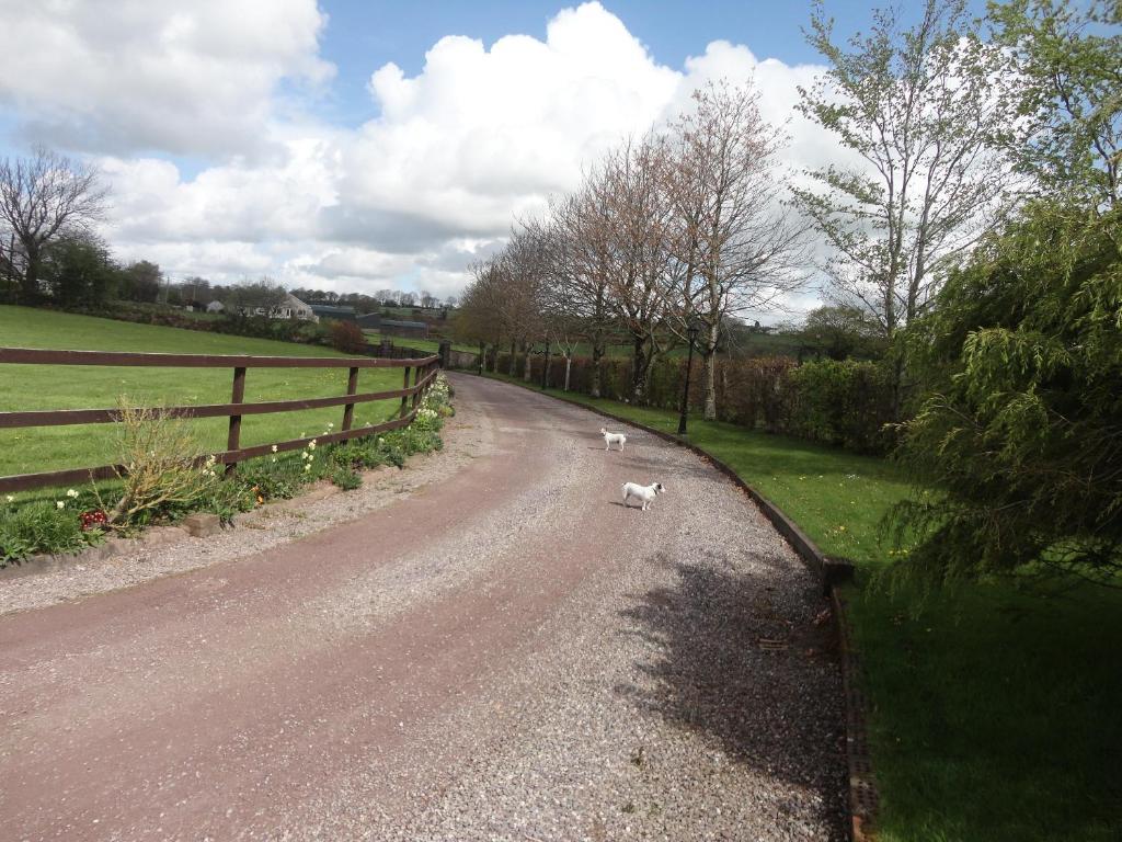 Westwood Country House Blarney Eksteriør billede